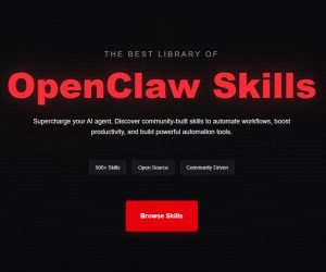 OpenClaw Skills